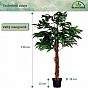 PLANTASIA Umělý strom mangovník, 120 cm